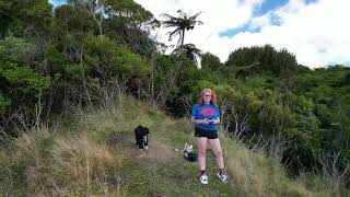 Up the Whanganui River [upl. by Eenor]