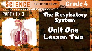 Science  Grade 4  Unit 1 Lesson 2  Part 1  The Respiratory System [upl. by Sauveur]