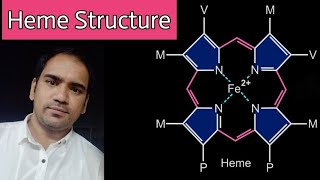 Heme  Structure  Porphyrin  types of porphyrins  bond between oxygen and iron [upl. by Asilehc]