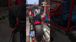 Hellboy Stage 2 exhaust motorcycle harleydavidsongermany custom youtube shorts short biker [upl. by Comstock]