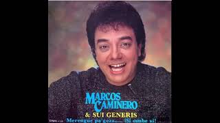 MARCOS CAMINERO amp SUI GENERIS  quotACORDEÓNquot NUEVA YORK 1988 merengue marcoscaminero [upl. by Ahtrim]