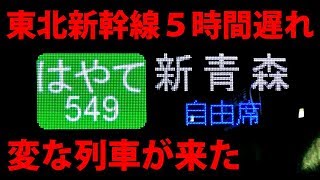 【東北新幹線大遅延】混乱の盛岡駅に自由席はやてが降臨【1806秋田11】 [upl. by Weiss]