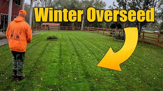 Overseeding Fall Lawns for Winter [upl. by Lynde]