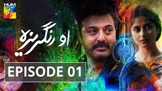 O Rungreza Episode 01 HUMTV Drama [upl. by Brufsky]