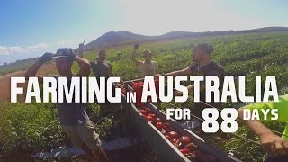 88 DAYS of Farming  2 Backpackers in Australia [upl. by Curt]