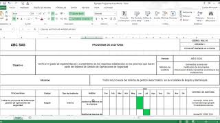 Ejemplo Programa de auditoria [upl. by Pickar]