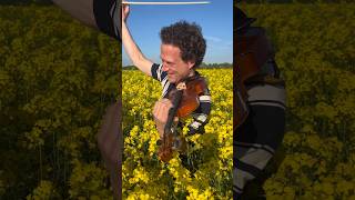 O Sole Mio violin music osolemio cover gold [upl. by Aiello222]