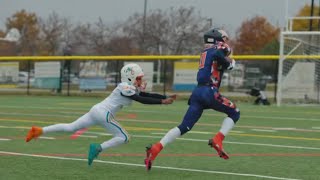 STATE CHAMPIONSHIP GAME ROBBINS EAGLE 11u VS WINDY CITY DOLPHINS 11u [upl. by Calvert]