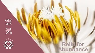 Reiki for Abundance  Energy Healing [upl. by Frick]