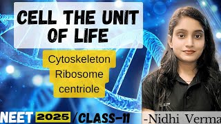 CELL THE UNIT OF LIFE  RIBOSOMES  CENTRIOLE  CENTROSOME  NEET 202526  NIDHI VERMA [upl. by Claud]