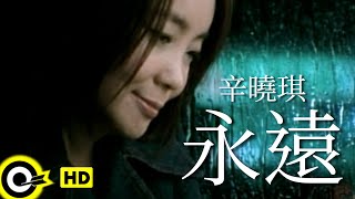 辛曉琪 Winnie Hsin【永遠 Forever】八大韓劇「秘密情人」主題曲 Official Music Video [upl. by Gabe503]