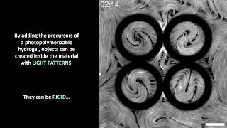 V013 In situ microfabrication of hydrogel objects in active nematic [upl. by Gnihc508]