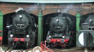 EisenbahnFest Staßfurt 12  Steam Train  Züge [upl. by Garling]