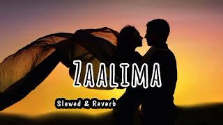 Zaalima SlowedReverb Arijit Singh [upl. by Oiramaj]