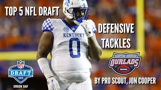 Top 5 2025 NFL Draft Defensive Tackle Prospects [upl. by Cerelly]