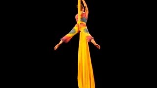 Natalie Nowak  Aerial Silks Act  Colour of Life [upl. by Artekal644]