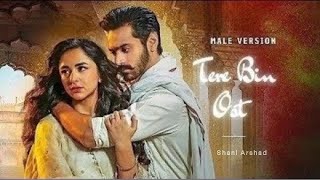 Tere Bin OST 🎶 Lyrics Urdu amp English  Male Version  Shani Arshad [upl. by Anne-Corinne]