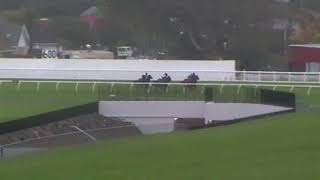 Ellerslie Jumpout Heats  Monday 25 March Heat 1 2yo 800  First Jumpouts [upl. by Ahseuqal602]