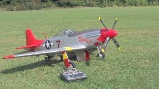 Radio Controlled RC Model Airplane  Mark Carros P51 [upl. by Alfonzo]