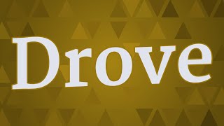 DROVE pronunciation • How to pronounce DROVE [upl. by Heinrik]