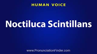 How To Pronounce Noctiluca Scintillans [upl. by Gershon646]