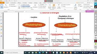 microbiologie S3 SVIBCG [upl. by Agustin793]