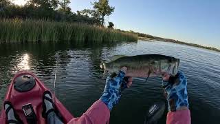 Kayak Fly Fishing Lake Bastrop Texas [upl. by Ladnar]