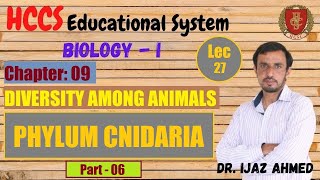 Phylum Cnidaria Pt1  Cnidocytes Part VI  Chapter 9  1ST YEAR  Dr IJAZ  LEC27 [upl. by Aicilav553]