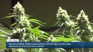 Montana reports record recreational marijuana sales in June [upl. by Eserahc]