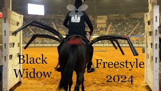 Mustang Magic 2024 Freestyle Craig Moore and Black Widow [upl. by Savart626]