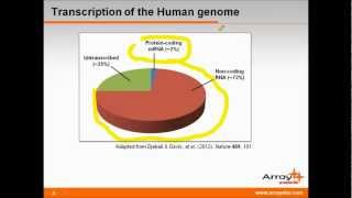 Long noncoding RNAs in Development amp Disease Progression [upl. by Acsot689]