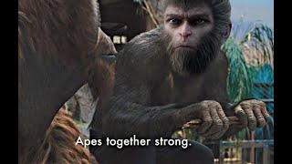 Apes together stronk  Black Myth Wukong 4 [upl. by Nosmoht876]