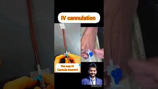 IV cannula kaise lagate hai shorts nursing [upl. by Yrome919]