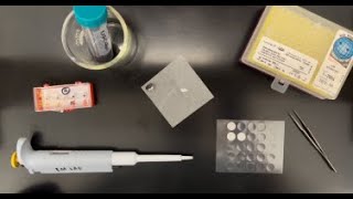 Preparing a Sample for SEM Analysis that is Dispersed in a Liquid [upl. by Campney]