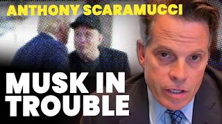 Anthony Scaramucci Trump will unleash hell on Elon Musk ‘in a matter of time’ [upl. by Nnylakcaj316]