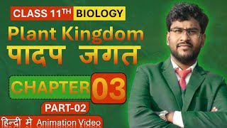 Plant kingdomपादप जगत class 11th  Chapter 3 in Hindi PART 2 by ravi sir ravibiology ravisir [upl. by Einwahr]