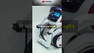 Is Teslas Optimus Robot the FUTURE of Robotics [upl. by Anni159]