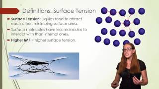 Surface Tension Viscosity and Capillary Action [upl. by Trill]