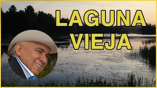 Laguna Vieja  Reynaldo Armas letra HD [upl. by Aivin]