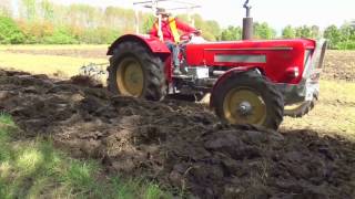 Tractors Ploughing  Pflügen  Schlüter Feldtag  Schlütertreffen Hallbergmoos  Schlepperherz [upl. by Pet]