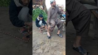 Babay Par Allah Ki Rahmat india indiapakistan trending viralvideo ytshortsviralforyouislamic [upl. by Gesner]