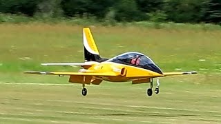 RC Turbine Jet Viperjet Pilot Dominik Grebe  Havelberg Germany 12072014 HD [upl. by Kcirtap]