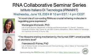 RNA Collaborative Seminar  RNA Initiative at the Italian Institute of Technology June 19 2024 [upl. by Harrus]