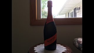 Werby’s Sparkling Wine Review Mionetto Prosecco Brut [upl. by Raamaj]