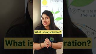 What is transpiration  science transpiration biology education AnshiClasses Shorts [upl. by Cynth210]