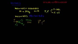 MAGNITUDES ESCALARES Y VECTORIALES [upl. by Sitoeht]