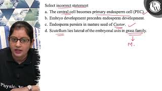 Select incorrect statement a The central cell becomes primary endo [upl. by Dnomyaw]