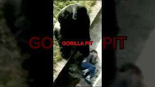 KID FALLS IN GORILLA PIT😱🤯 AleVik Shorts shorts [upl. by Yhtir842]