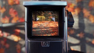 Hasselblad 503cx Shooting Fujichrome Velvia100 Reversal Film  Karuizawa Japan [upl. by Vallie128]