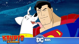 Krypto The Superdog  A Visit from Superman  dckids [upl. by Ailegave791]